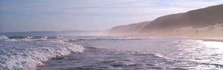 Hotel Garden Route Accommodation  Garden Route Real Estate South Africa