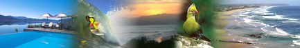 Garden Route South Africa Accommodation Self Catering South Africa Garden Route Real Estate Hotel Accommodation South Africa