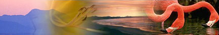 Garden Route South Africa Accommodation Self Catering South Africa Garden Route Real Estate Hotel Accommodation South Africa