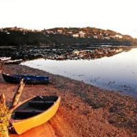 Head to the Slow Festival, fast (Photo: Knysna-Plett Herald) Head to the Slow Festival, fast (Photo: Knysna-Plett Herald)