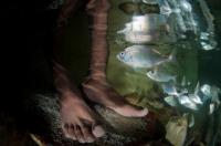 An image from Mossel Bay’s first Responsible Tourism (Photo Safari by participant Fiona Ayerst) An image from Mossel Bay’s first Responsible Tourism (Photo Safari by participant Fiona Ayerst)