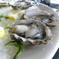 Oyster Festival Preparations begin Oyster Festival Preparations begin