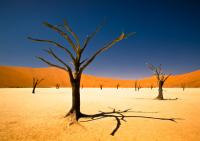 Bernard Pieterse's winning entry entitled Sossusvlei ©Bernard Pieterse, South Africa, Youth Category Winner, Environment, Sony World Photography Awards 2012 Bernard Pieterse's winning entry entitled Sossusvlei ©Bernard Pieterse, South Africa, Youth Category Winner, Environment, Sony World Photography Awards 2012