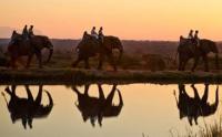 'Whatever you're looking for, it's right here in South Africa' (Photo: GCIS) 'Whatever you're looking for, it's right here in South Africa' (Photo: GCIS)
