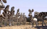 'It's not all black and white for this zebra … he's going to have to earn his stripes!' (Image: Triggerfish Animation Studios) 'It's not all black and white for this zebra … he's going to have to earn his stripes!' (Image: Triggerfish Animation Studios)