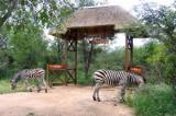 Maroela Chalets: Maroela Chalets Maroela Chalets: Maroela Chalets