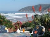 Sounds Of The Sea: Sounds of the Sea Wilderness South Africa Sounds Of The Sea: Sounds of the Sea Wilderness South Africa