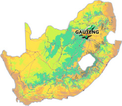 Gauteng South Africa Travel and accommodation guide (Image MediaclubSouthAfrica.com)