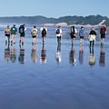 Hiking with Sandpiper Safaris Hiking with Sandpiper Safaris