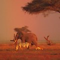 Welcome to the National Parks of the Garden Route Welcome to the National Parks of the Garden Route