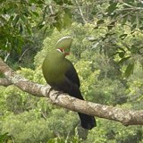 Cango Wildlife Ranch Birds Of Eden Plettenberg Bay