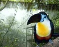 Cango Wildlife Ranch Birds Of Eden Plettenberg Bay