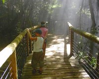 Cango Wildlife Ranch Birds Of Eden Plettenberg Bay