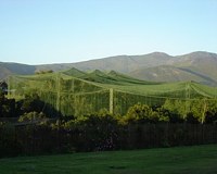 Cango Wildlife Ranch Birds Of Eden Plettenberg Bay