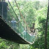 Cango Wildlife Ranch Monkeyland Primate Sanctaury Plettenberg Bay