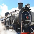The Outeniqua Choo Tjoe offers a scenic train ride between George and Mossel Bay