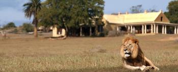 Gorah Elephant Camp: Gorah Elephant Camp