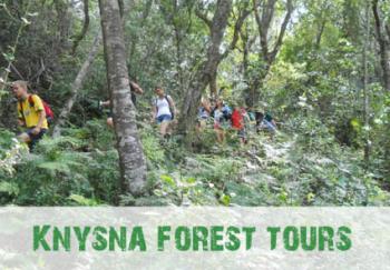 Knysna forest tours: Knysna Forest Tours