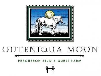 Outeniqua Moon Percheron Stud & Guest Farm: Outeniqua Moon Percheron Stud Outeniqua Moon Percheron Stud & Guest Farm: Outeniqua Moon Percheron Stud