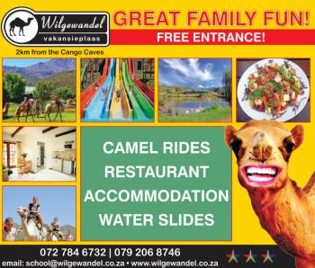Wilgewandel Holiday Farm: Wilgewandel Holiday Farm Wilgewandel Holiday Farm: Wilgewandel Holiday Farm