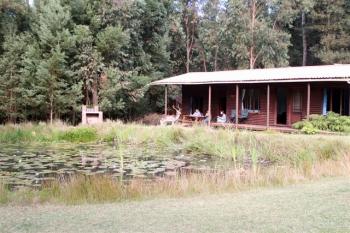 Treehouse Forest Lodge: Plettenberg Bay Accommodation