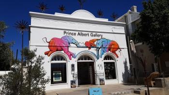 Prince Albert Gallery: Prince Albert Gallery Prince Albert Gallery: Prince Albert Gallery