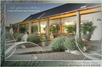 Surval Boutique Olive Estate