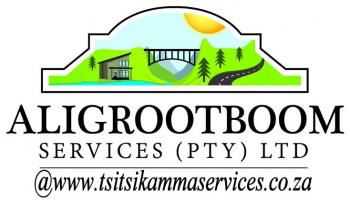 Aligrootboom: Aligrootboom Aligrootboom: Aligrootboom