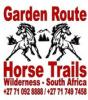 Garden Route Horse Trails: Garden Route Horse Trails