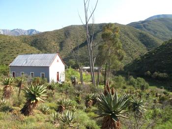 The Old School House