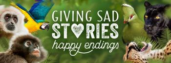 The South African Animal Sanctuary Alliance: The South African Animal Sanctuary Alliance The South African Animal Sanctuary Alliance: The South African Animal Sanctuary Alliance