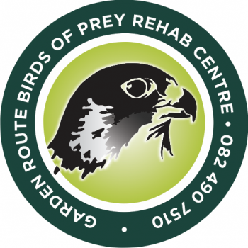 Garden Route Birds of Prey Rehab Centre: Garden Route Birds of Prey Rehab Centre
