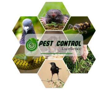 Pest Control Excellence: Pest Control Excellence Pest Control Excellence: Pest Control Excellence