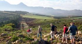 The Schapenberg Sir Lowry's Conservancy's conducts guided 'Biodiversity and Wine Walks' to raise funds for preserving identified biodiversity corridors within the conservancy (Photo: Walks for Wine)