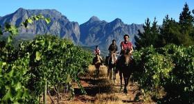 Exploring the winelands on horseback