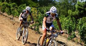 Cycling tours are very popular in South Africa's winelands