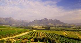 Alternative Winelands Tour