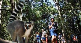 Forest walk at Monkeyland Primate Sanctuary Plettenberg Bay