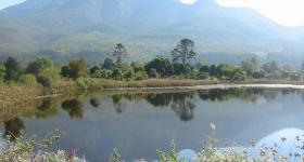 Dam at the Garden Route botanical Gardens