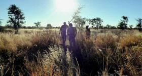 South African Bushmen