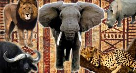 big five ,south africa big five ,south africa