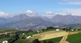 wine route,south africa