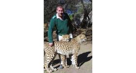 Cheetah Park in Oudtshoorn