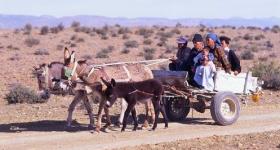 Local farming community in Oudtshoorn and the Karoo