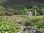 Plett Open Garden Day