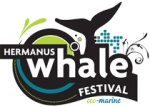 Hermanus Whale Festival