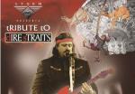 Tribute to Dire Straits ft Mel Botes