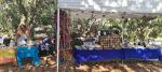 Fairy Knowe Market Fairy Knowe Market