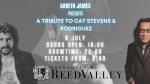 Cat Stevens & Rodriguez Tribute by Gareth James
