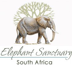 Elephant Sanctuary: Elephant Sanctuary